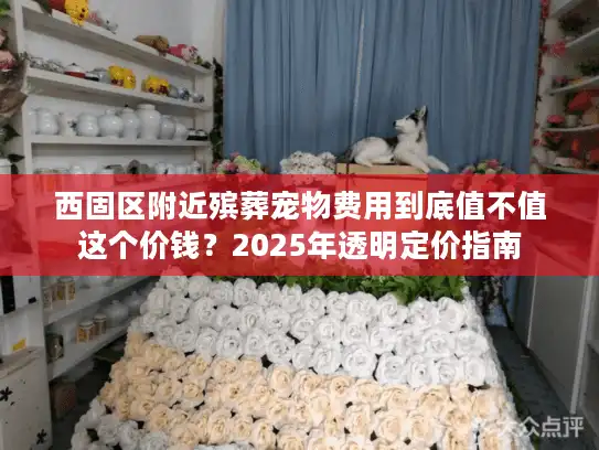 西固区附近殡葬宠物费用到底值不值这个价钱？2025年透明定价指南