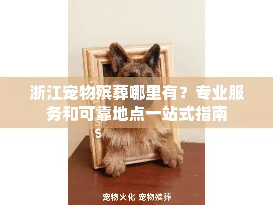 浙江宠物殡葬哪里有？专业服务和可靠地点一站式指南