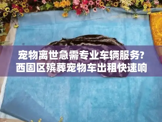 宠物离世急需专业车辆服务?西固区殡葬宠物车出租快速响应