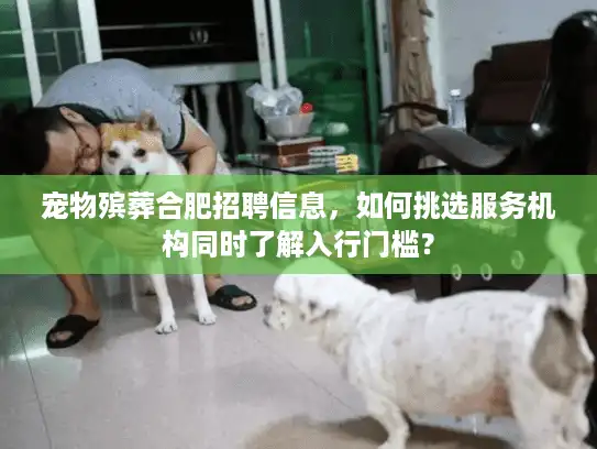 宠物殡葬合肥招聘信息，如何挑选服务机构同时了解入行门槛？