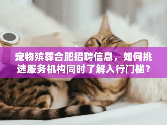 宠物殡葬合肥招聘信息，如何挑选服务机构同时了解入行门槛？