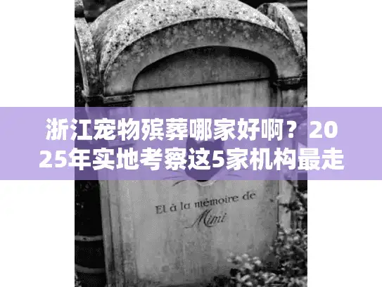 浙江宠物殡葬哪家好啊？2025年实地考察这5家机构最走心