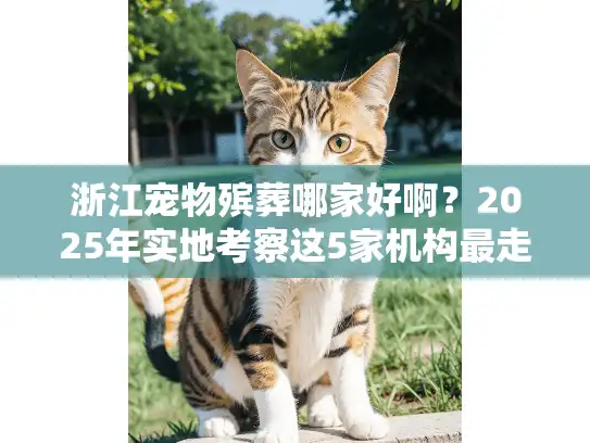 浙江宠物殡葬哪家好啊？2025年实地考察这5家机构最走心