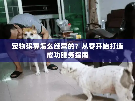 宠物殡葬怎么经营的？从零开始打造成功服务指南