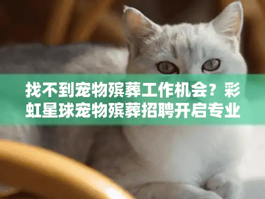 找不到宠物殡葬工作机会？彩虹星球宠物殡葬招聘开启专业团队加入之路
