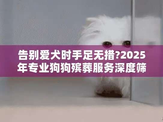 告别爱犬时手足无措?2025年专业狗狗殡葬服务深度筛选指南