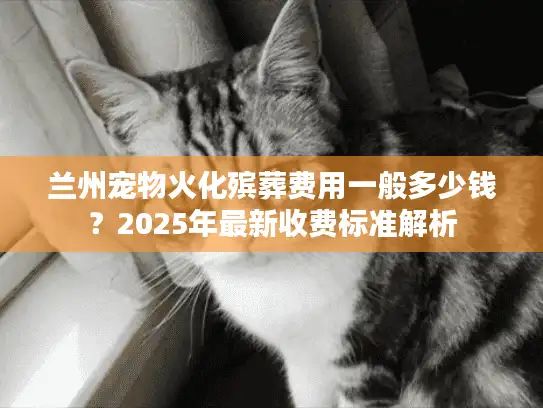 兰州宠物火化殡葬费用一般多少钱？2025年最新收费标准解析