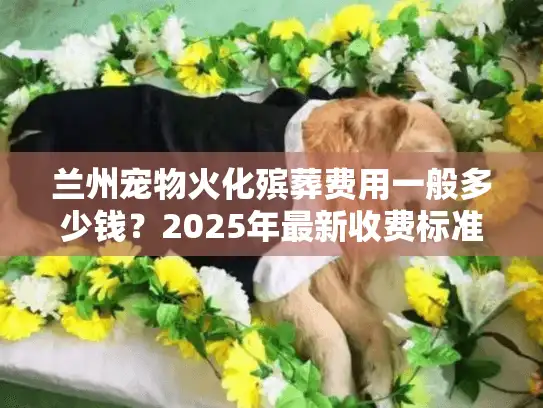 兰州宠物火化殡葬费用一般多少钱？2025年最新收费标准解析