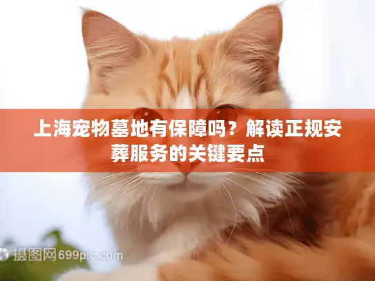 上海宠物墓地有保障吗？解读正规安葬服务的关键要点