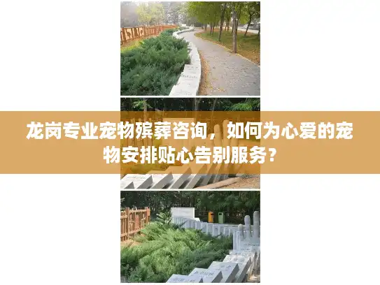 龙岗专业宠物殡葬咨询，如何为心爱的宠物安排贴心告别服务？