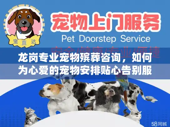 龙岗专业宠物殡葬咨询，如何为心爱的宠物安排贴心告别服务？
