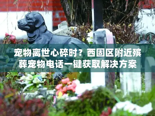 宠物离世心碎时？西固区附近殡葬宠物电话一键获取解决方案