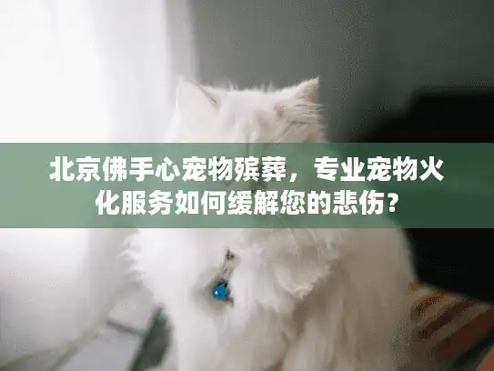 北京佛手心宠物殡葬，专业宠物火化服务如何缓解您的悲伤？