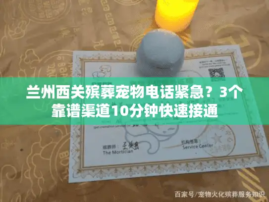 兰州西关殡葬宠物电话紧急？3个靠谱渠道10分钟快速接通