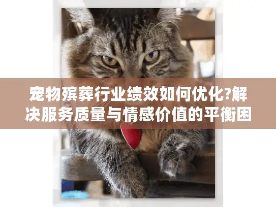 宠物殡葬行业绩效如何优化?解决服务质量与情感价值的平衡困境