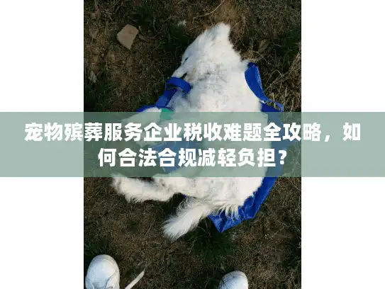 宠物殡葬服务企业税收难题全攻略，如何合法合规减轻负担？