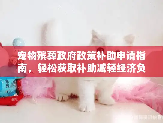 宠物殡葬政府政策补助申请指南，轻松获取补助减轻经济负担！