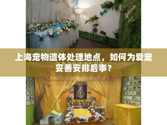 上海宠物遗体处理地点，如何为爱宠妥善安排后事？