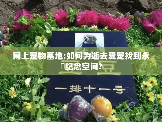 网上宠物墓地:如何为逝去爱宠找到永恆纪念空间?