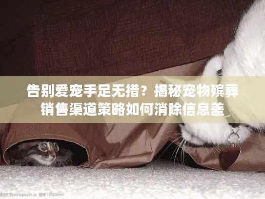 告别爱宠手足无措？揭秘宠物殡葬销售渠道策略如何消除信息差