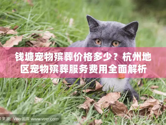 钱塘宠物殡葬价格多少？杭州地区宠物殡葬服务费用全面解析