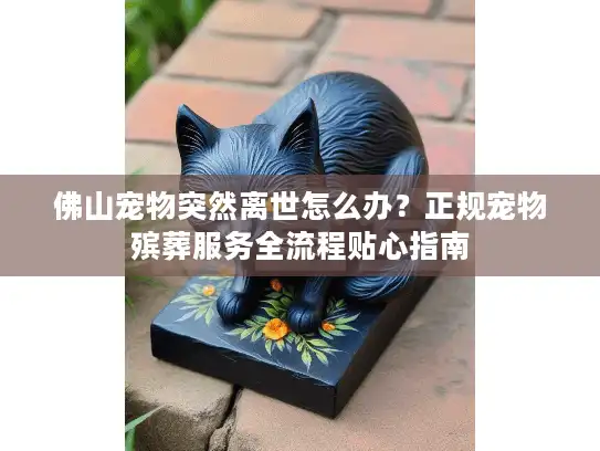 佛山宠物突然离世怎么办？正规宠物殡葬服务全流程贴心指南