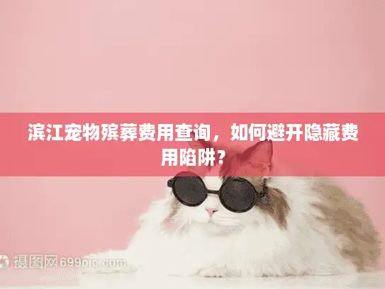 滨江宠物殡葬费用查询，如何避开隐藏费用陷阱？