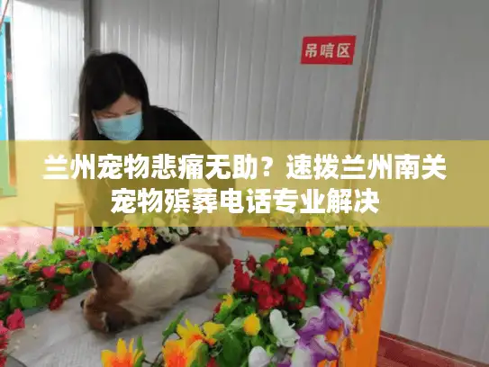 兰州宠物悲痛无助？速拨兰州南关宠物殡葬电话专业解决