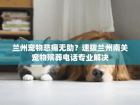 兰州宠物悲痛无助？速拨兰州南关宠物殡葬电话专业解决