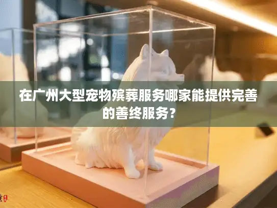 在广州大型宠物殡葬服务哪家能提供完善的善终服务？