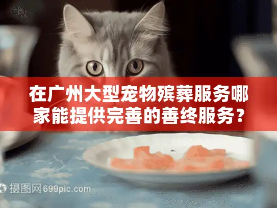 在广州大型宠物殡葬服务哪家能提供完善的善终服务？