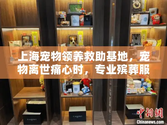 上海宠物领养救助基地，宠物离世痛心时，专业殡葬服务助您告别