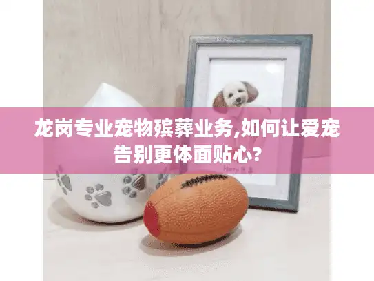 龙岗专业宠物殡葬业务,如何让爱宠告别更体面贴心?