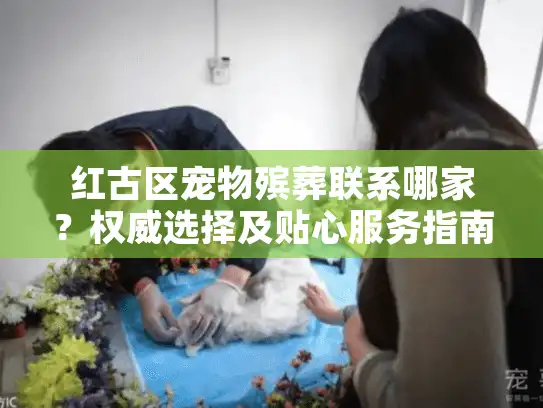红古区宠物殡葬联系哪家？权威选择及贴心服务指南