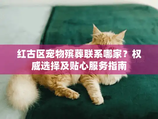 红古区宠物殡葬联系哪家？权威选择及贴心服务指南