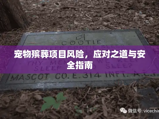 宠物殡葬项目风险，应对之道与安全指南