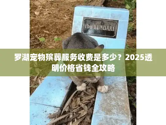 罗湖宠物殡葬服务收费是多少？2025透明价格省钱全攻略