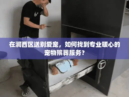 在涧西区送别爱宠，如何找到专业暖心的宠物殡葬服务？