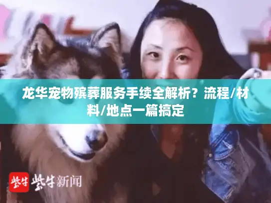 龙华宠物殡葬服务手续全解析？流程/材料/地点一篇搞定