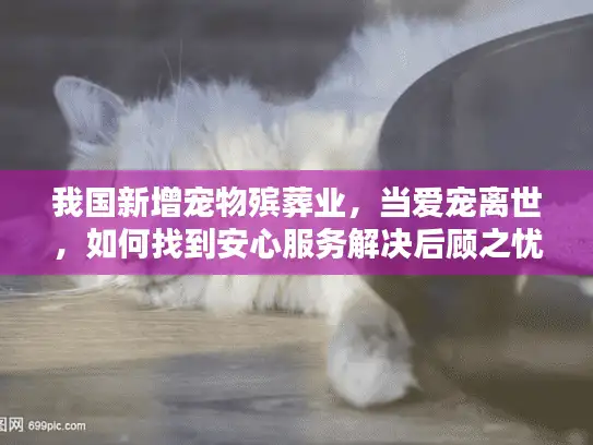 我国新增宠物殡葬业，当爱宠离世，如何找到安心服务解决后顾之忧？