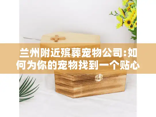 兰州附近殡葬宠物公司:如何为你的宠物找到一个贴心的告别服务