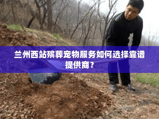 兰州西站殡葬宠物服务如何选择靠谱提供商？