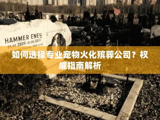如何选择专业宠物火化殡葬公司？权威指南解析
