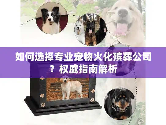 如何选择专业宠物火化殡葬公司？权威指南解析