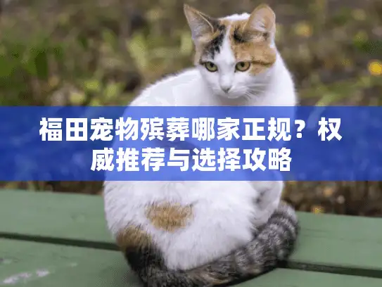 福田宠物殡葬哪家正规？权威推荐与选择攻略