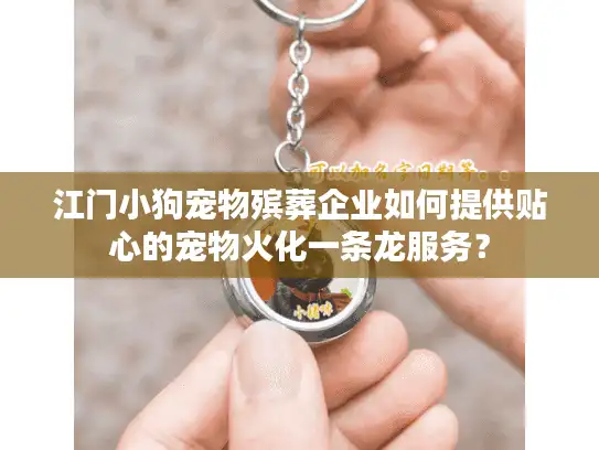 江门小狗宠物殡葬企业如何提供贴心的宠物火化一条龙服务？