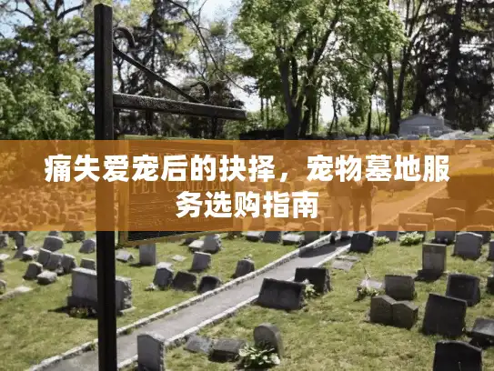 痛失爱宠后的抉择，宠物墓地服务选购指南
