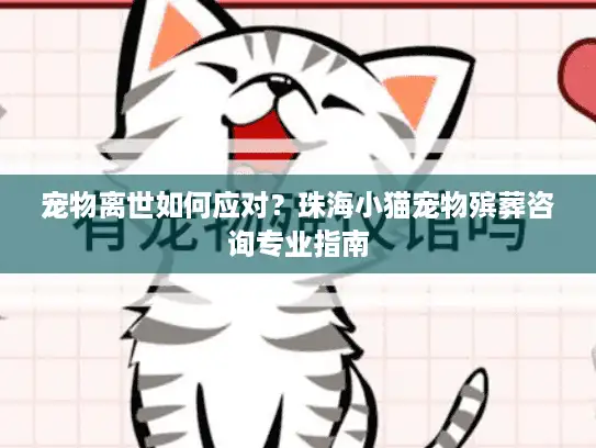 宠物离世如何应对？珠海小猫宠物殡葬咨询专业指南