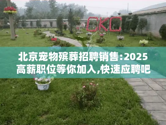 北京宠物殡葬招聘销售:2025高薪职位等你加入,快速应聘吧!