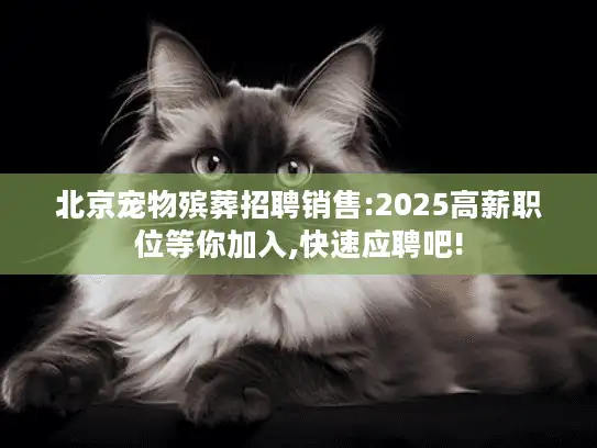 北京宠物殡葬招聘销售:2025高薪职位等你加入,快速应聘吧!